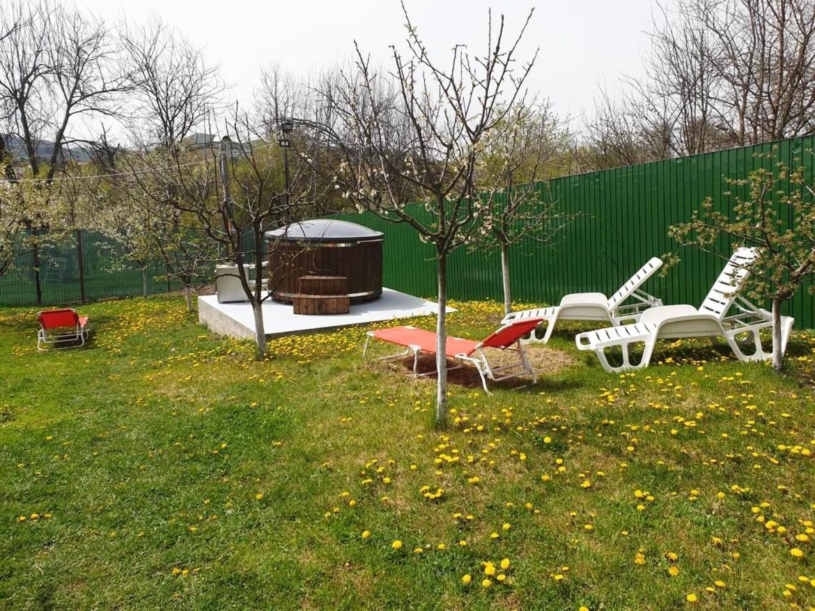 Guest house Pensiunea Dana