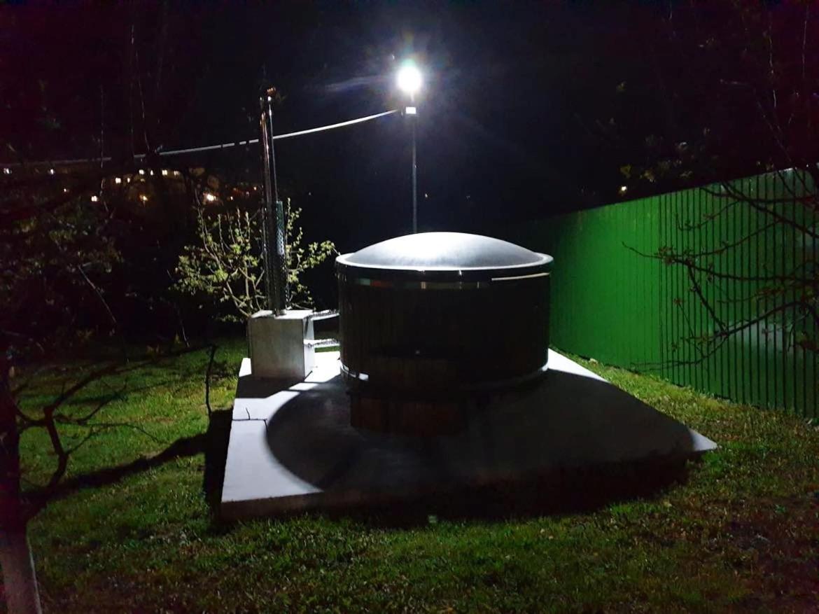 Guest house Pensiunea Dana 3*