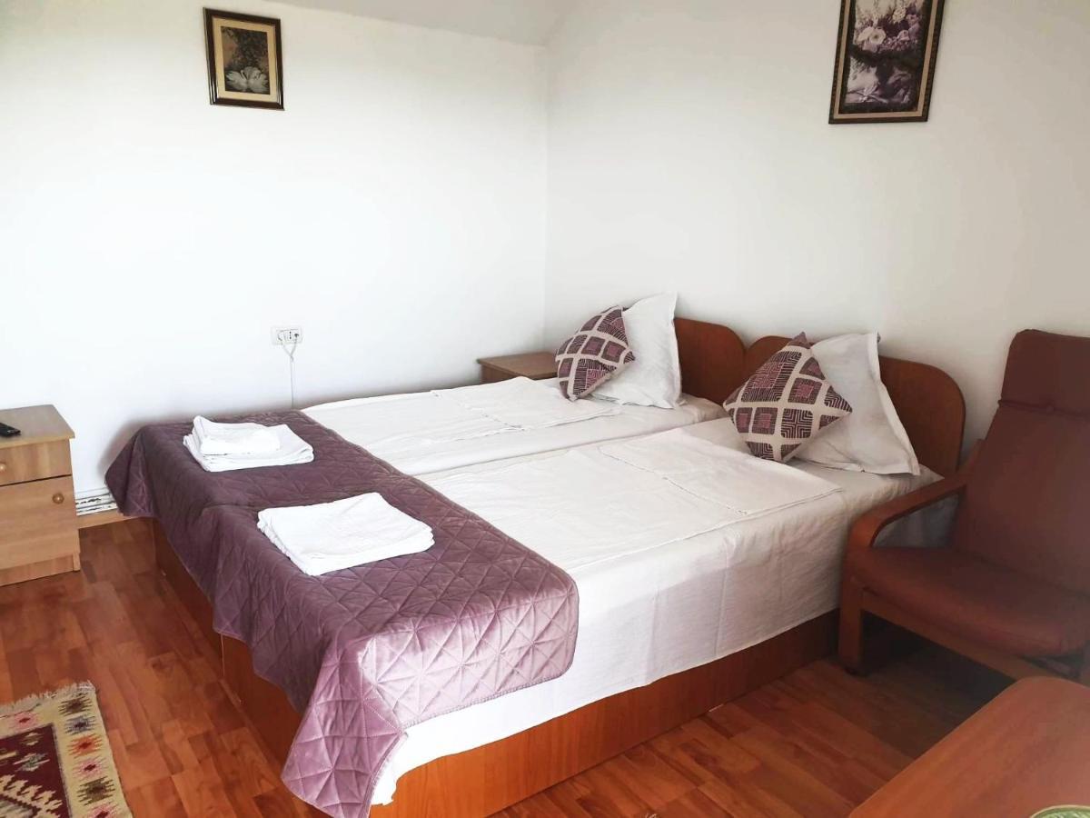 Guest house Pensiunea Dana