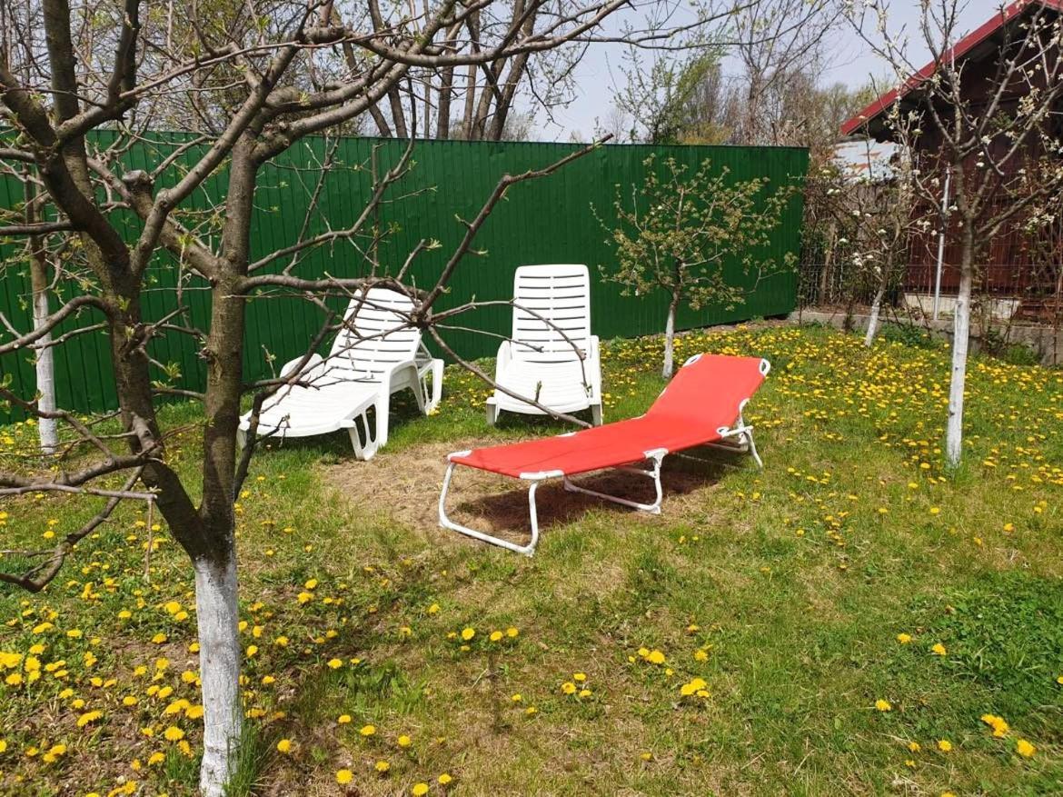 Pensiunea Dana Guest house