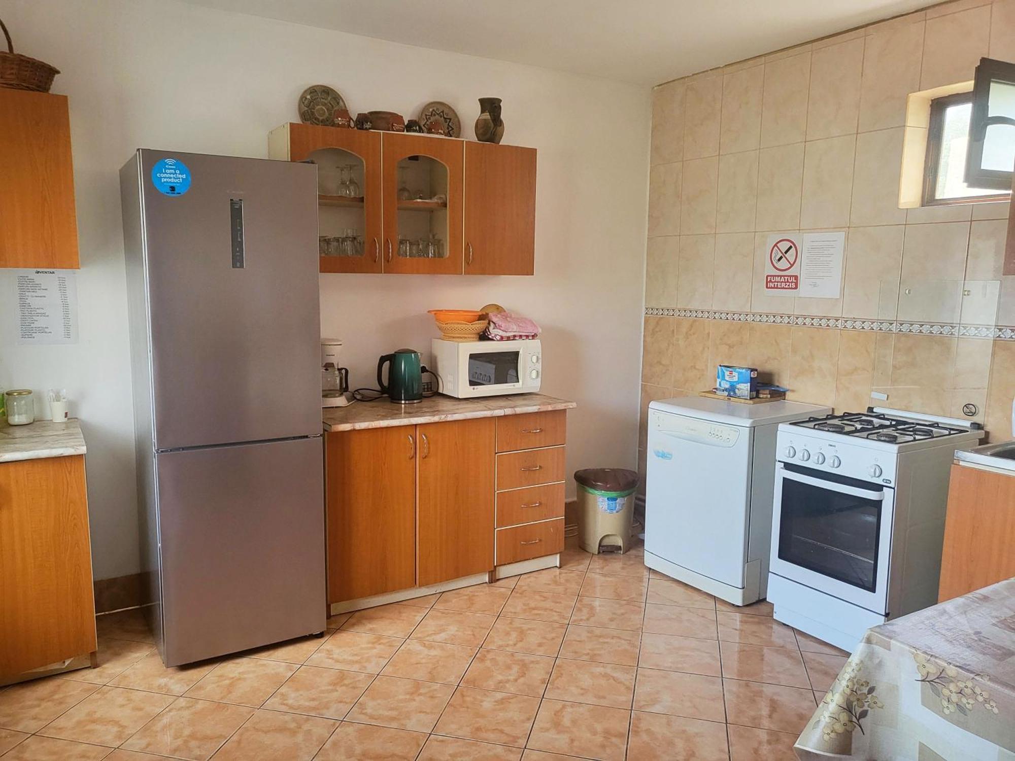 Pensiunea Dana Guest house