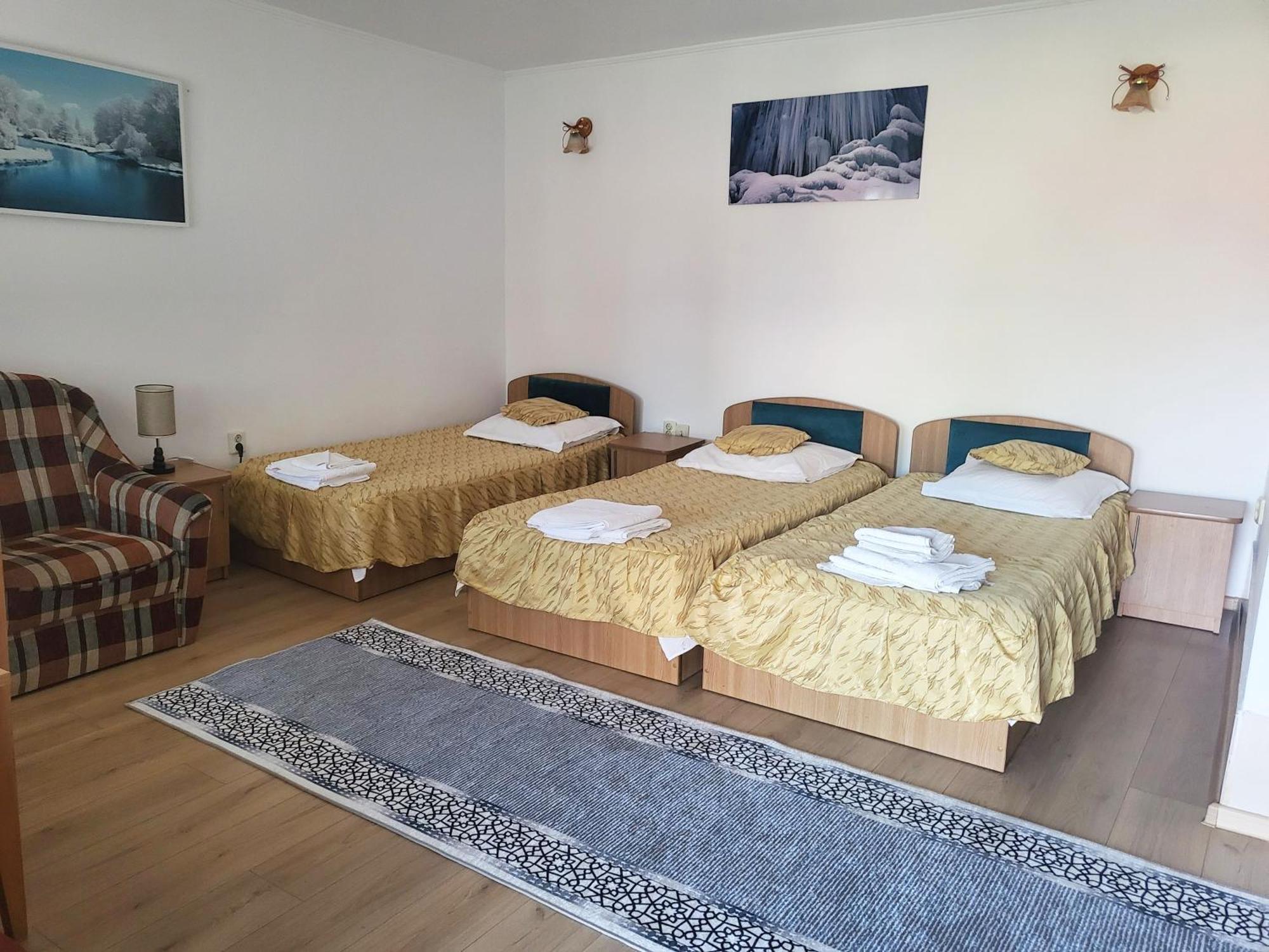 Pensiunea Dana Guest house