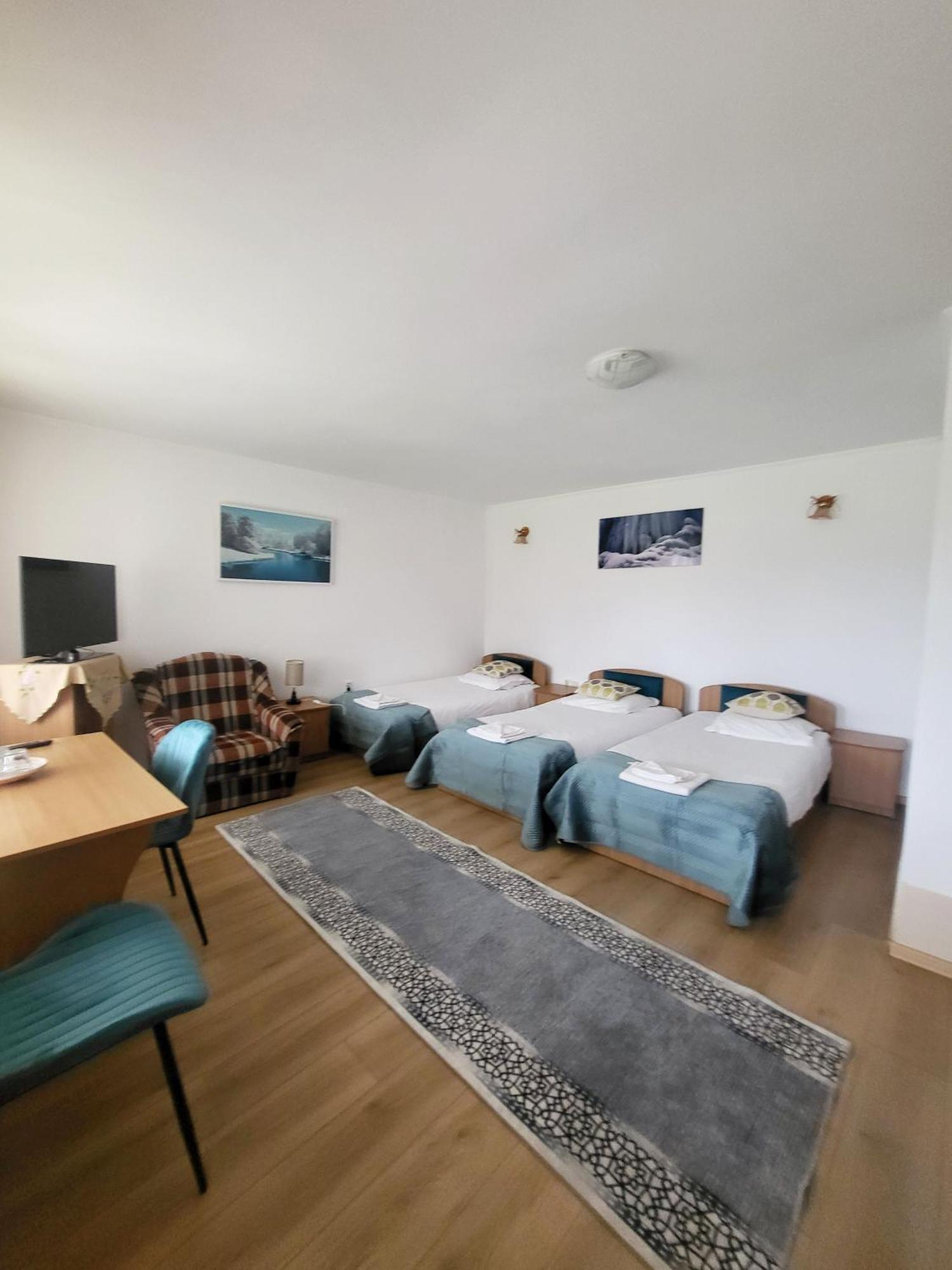 Pensiunea Dana Guest house Horezu