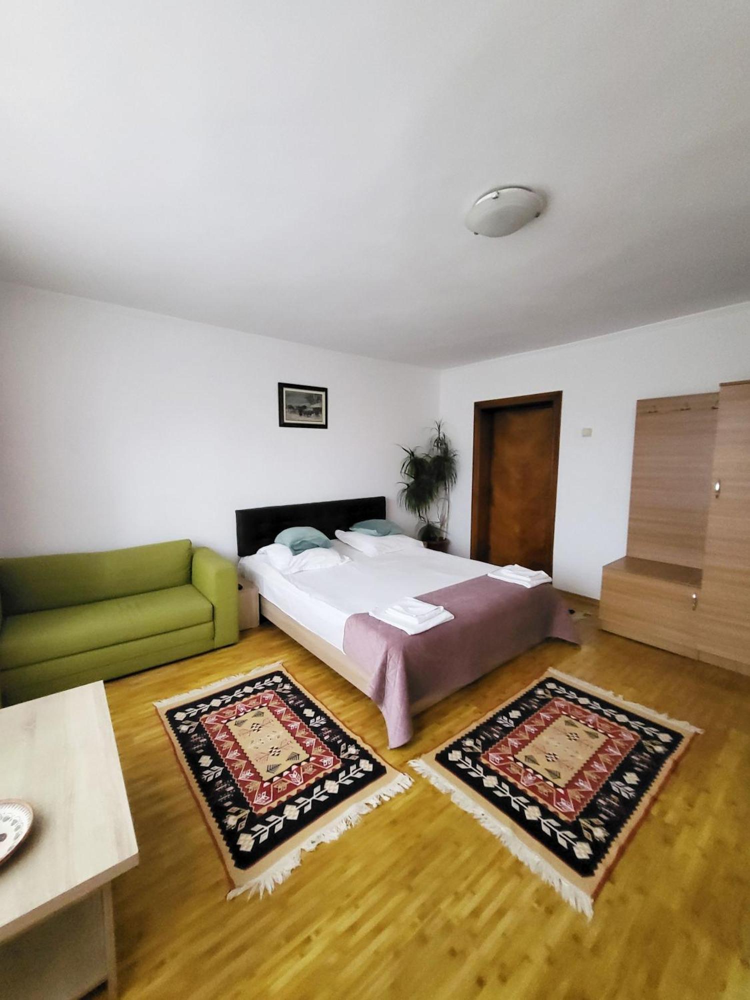 Guest house Pensiunea Dana 3*