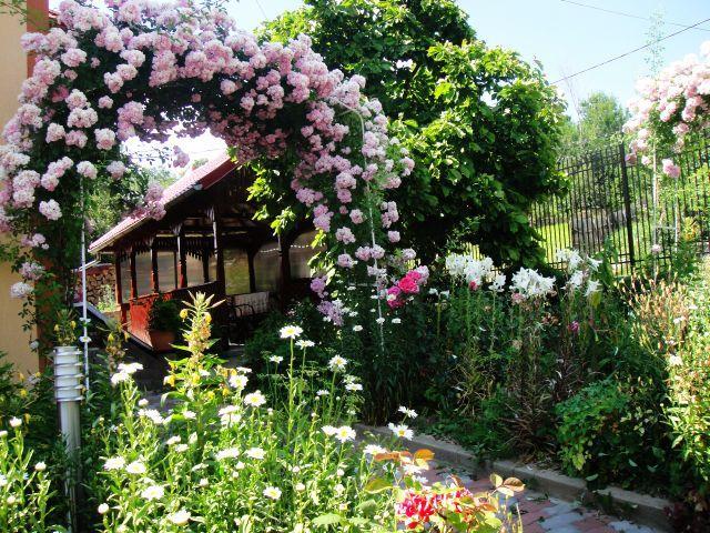 Pensiunea Dana Guest house