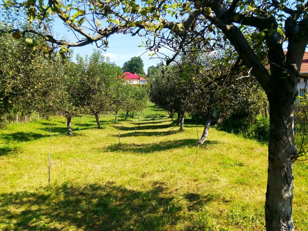 Guest house Pensiunea Dana Horezu