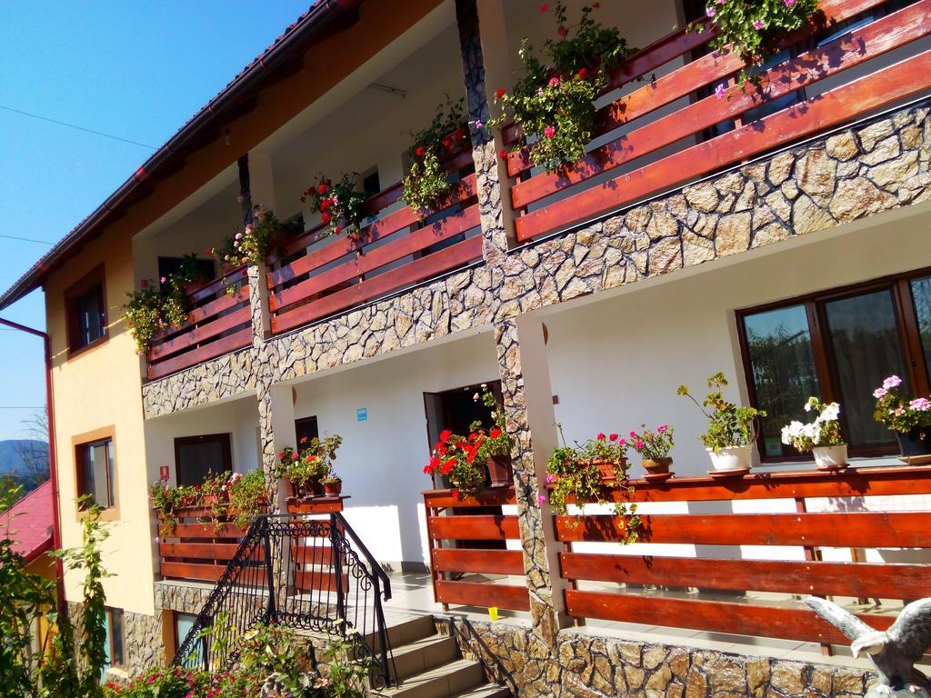 Pensiunea Dana 3* Horezu