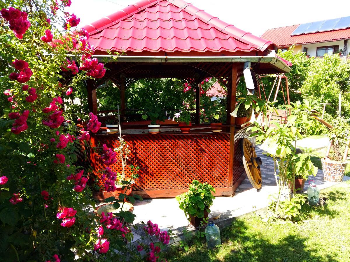 Pensiunea Dana Guest house Horezu