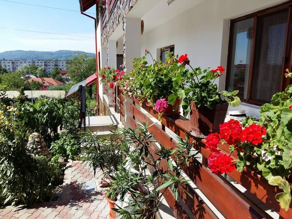 Guest house Pensiunea Dana