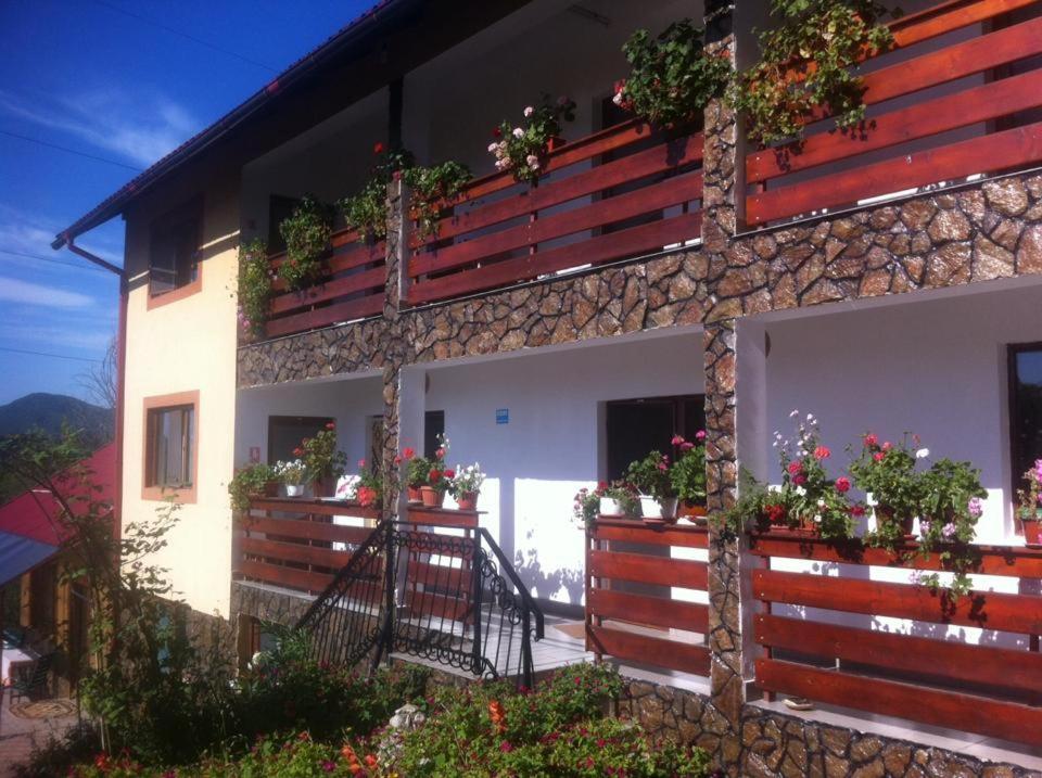 Guest house Pensiunea Dana 3*