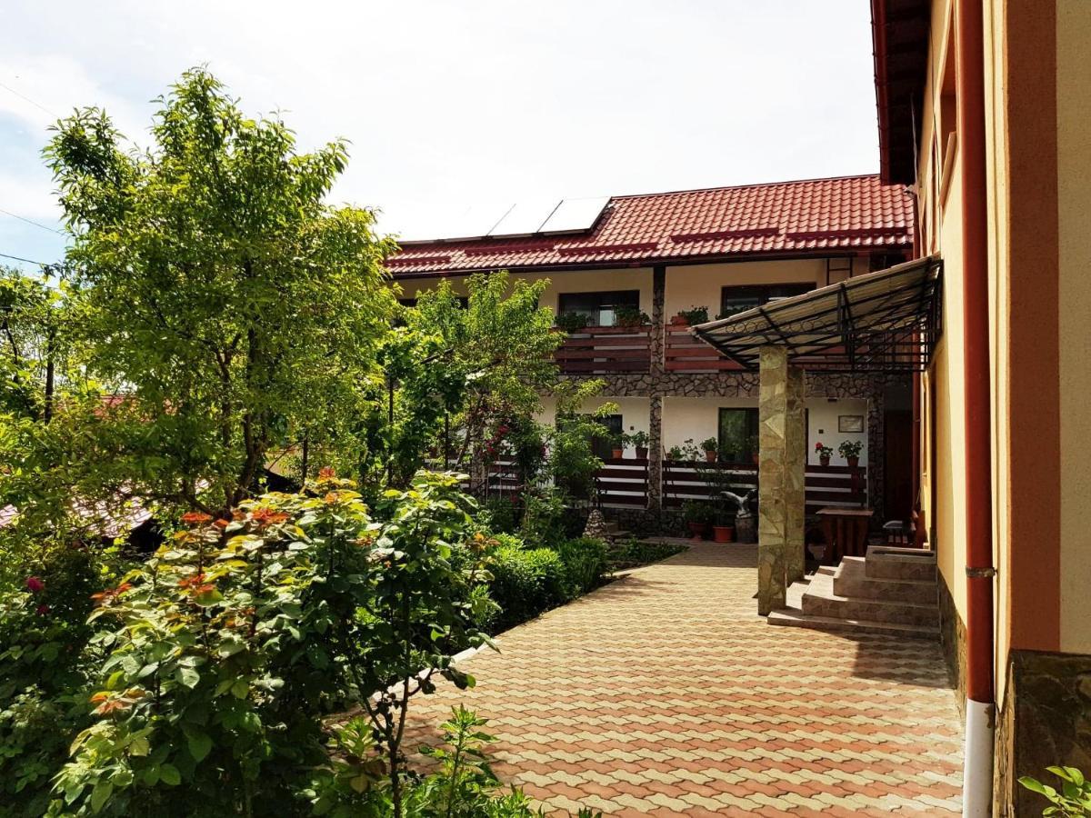 Guest house Pensiunea Dana 3*