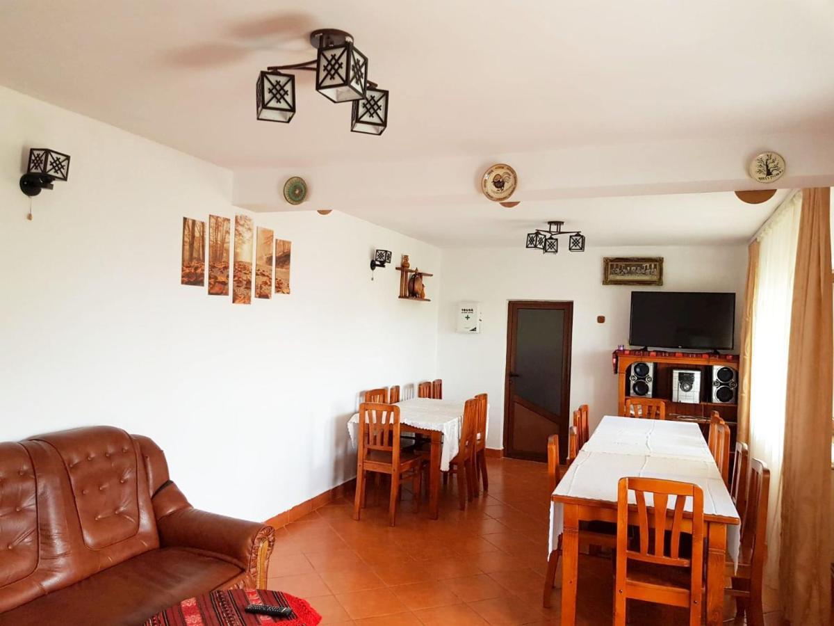 Pensiunea Dana Guest house